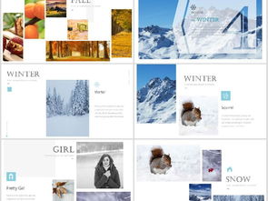 動(dòng)感時(shí)尚圖文排版 從精美畫冊(cè)到商務(wù)PPT的視覺藝術(shù)